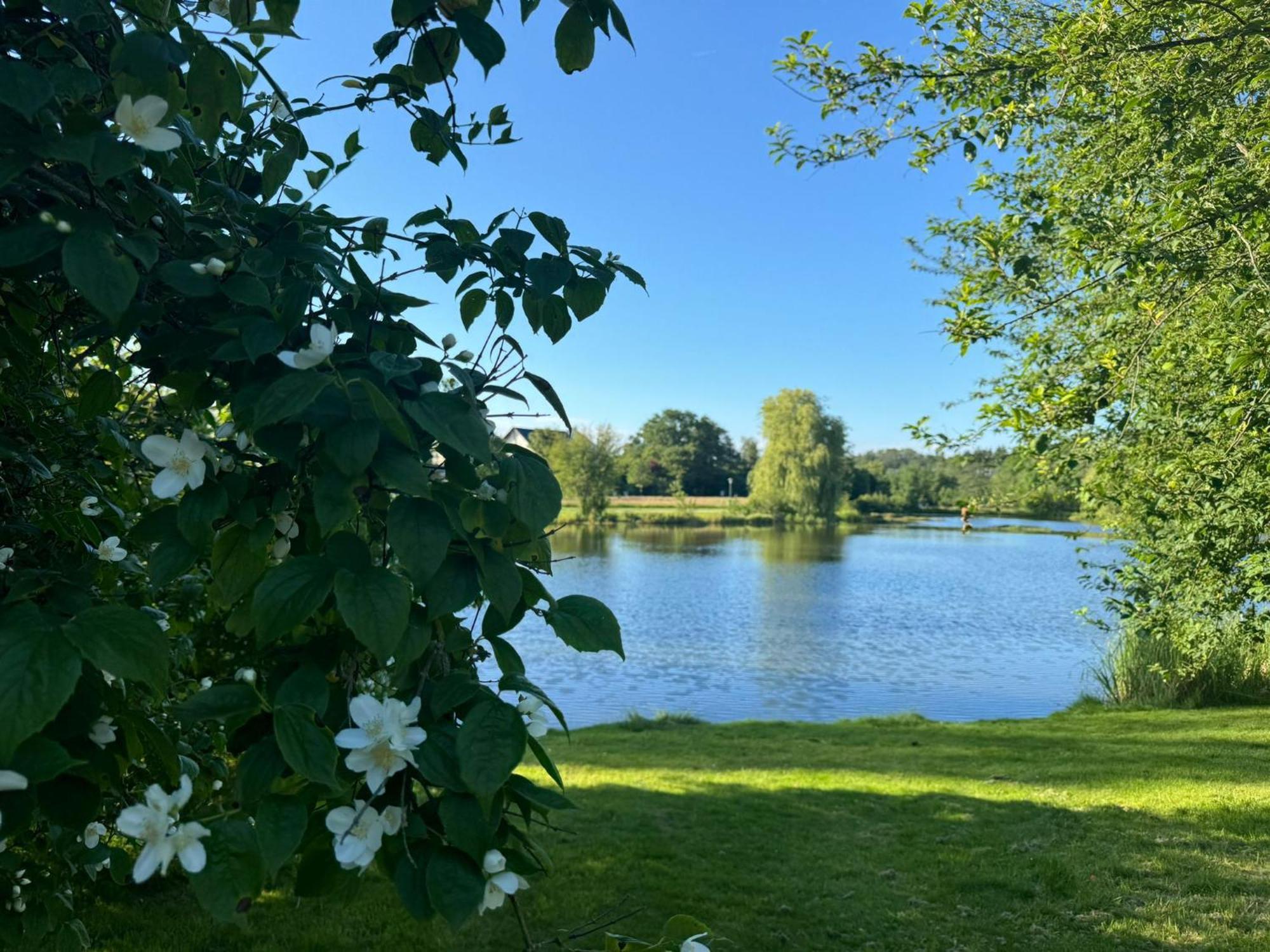 Schloss Hotel Kastellaun Eksteriør billede